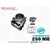 CF Moto 250 NK Silindir Piston Segman Seti